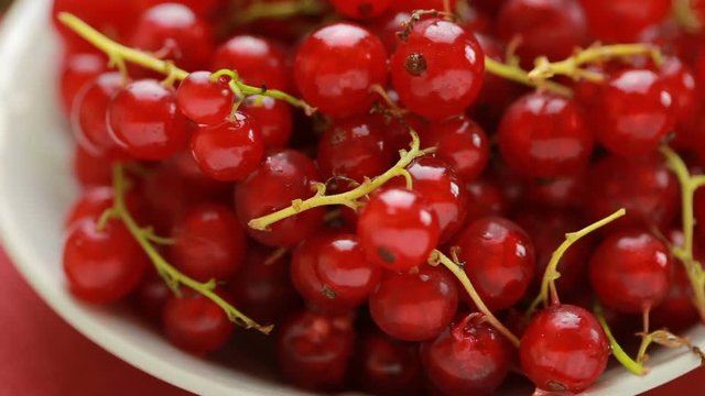 Red currant berry rotation