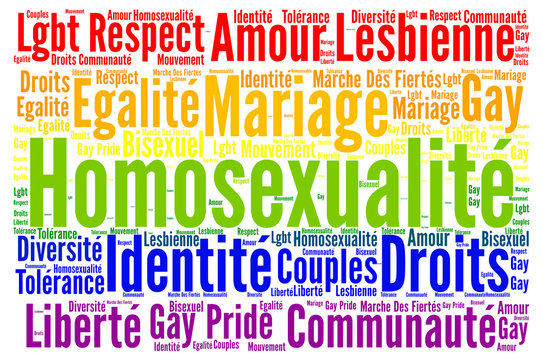 Gay rights concept word cloud with french text