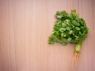 coriander on wood background, Top view
