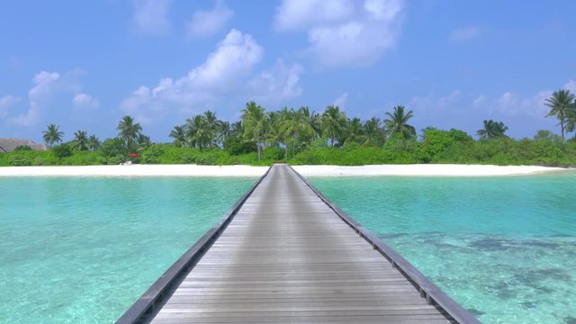 Beautiful white sand beaches and palm trees in Maldives