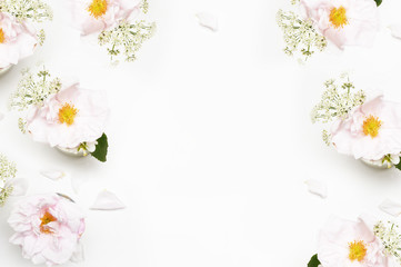 Flowers on white background. Flat lay. Mock-up desk. Beauty 