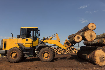 Tractor cargando troncos de pinos en una planta de producción forestal