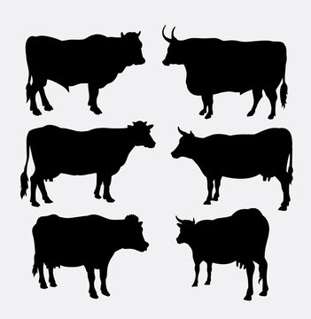 Cow and bull animal silhouette. Good use for symbol, logo, web icon, sticker design, avatar, mascot, or any design you want.