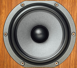 audio loudspeaker in wooden cabinet