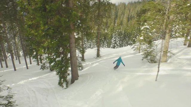 AERIAL: Snowboarding through a snowy spruce forest