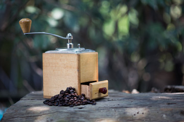Coffee grinder and coffee beans