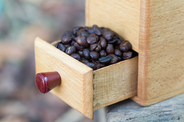 Coffee grinder and coffee beans