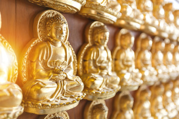 Wall of golden Buddha at Chinese Temple, Wat Mangkon Kamalawat. People believe in charity will make a fortune in the future, Nonthaburi, Thailand.