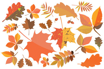 Set of colorful autumn leaves with geometric texture and craquelure