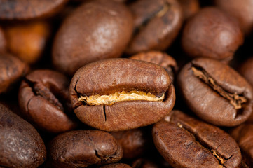 Coffee beans background