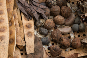 dry seeds