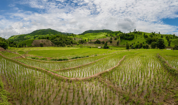 The rice terraces and agriculture filed of the countryside of northern Thailand with panorama shot.