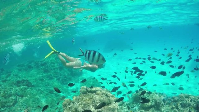 SLOW MOTION UNDERWATER: Woman snorkeling exotic reef with tropical fish