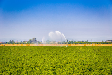irrigation of cultivated fields near bales of hay