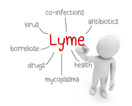lyme