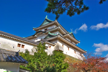 Wakayama castle with fall foliage,Wakayama Japan
