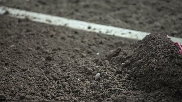 A gardener is raking a freshly plowed soil in the garden. He is moving it around so that is looks even. Close-up shot.
