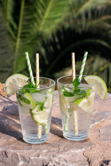 Summer drink soda water cocktail.