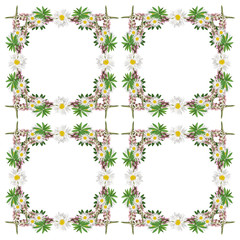 Delicate floral background isolated from lupine and daisies 