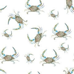 marine life background. Pattern seamless, hand painted watercolor elements, seaside- 115775575