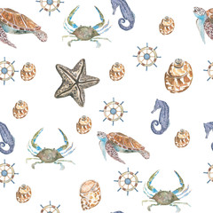 
sea background. Pattern seamless, hand painted watercolor elements, seaside 