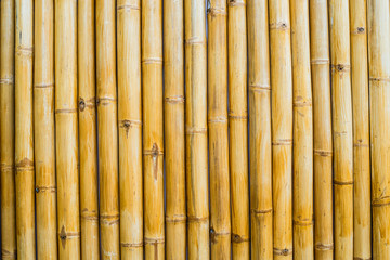 Bamboo Wall textures