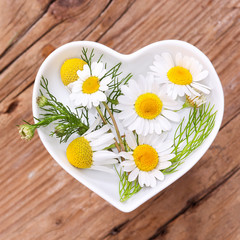 Homöopathie und Kochen mit Heilkräutern, Kamille