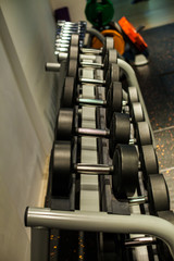 Stand with dumbbells in fitness room. Weight Training Equipment