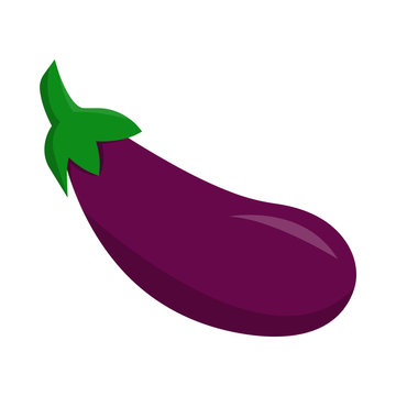 Vector Illustration of eggplant