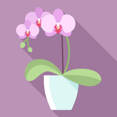 Vector illustration of orchid flower in flowerpot with long shadow. Modern pastel colors. Flat style.