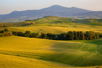 Landscape in Tuscany