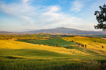 Fototapeta premium Landscape in Tuscany