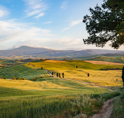 Obraz premium Landscape in Tuscany