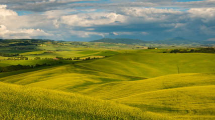 Fototapeta premium Landscape in Tuscany