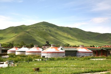  The ger camp  in a large meadow at Ulaanbaatar , Mongolia - 115784795