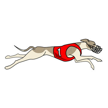 recommend clip art: Running dog whippet breed, in dog racing or coursing dress number one
