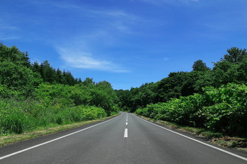 夏の峠道