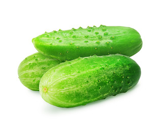 Three fresh green ripe cucumbers isolated on white background. Design element for product label, catalog print, web use.