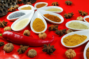 Colorful Indian spices on red background