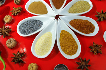 Colorful Indian spices on red background