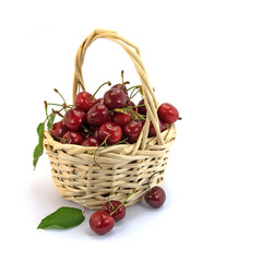 Fototapeta na wymiar Kirschen, Prunus avium, Cherries
