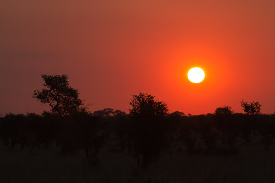 african sunset in kruger national park