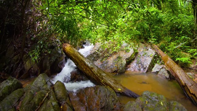 Stream in tropical forest. Rainy day. UltraHD footage