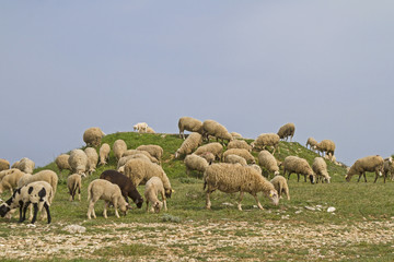 Junge Frau auf Felsplatte