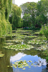 Seerosenteich in Monets Garten