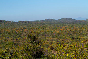Fototapeta na wymiar africa landscape in the kruger park north part of it