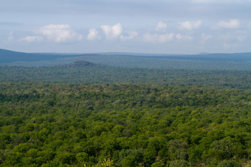 Fototapeta na wymiar africa landscape in the kruger park north part of it