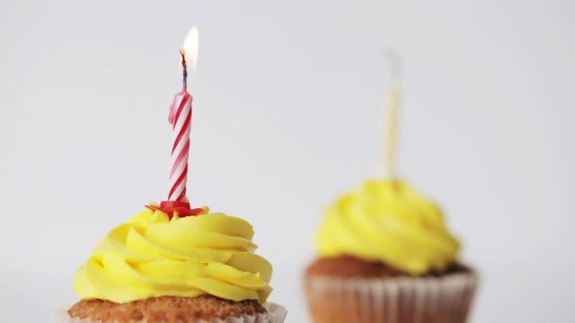 birthday cupcakes with burning candles