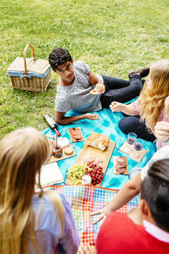 High angle view of friends enjoying picnic at park