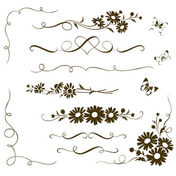 Decorative calligraphic elements with wild chamomile flowers. Floral ornaments and butterfly silhouettes for page decor